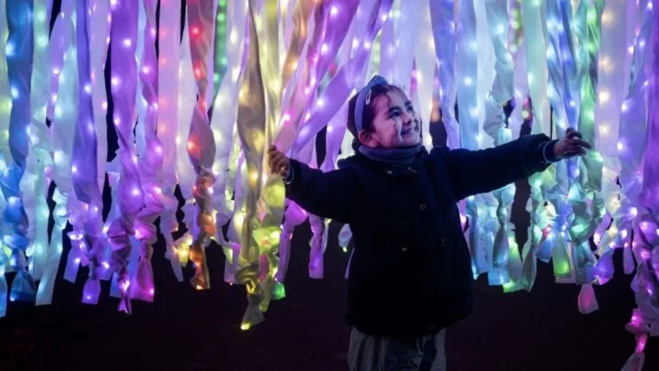 Christmas at Kew - Image 1